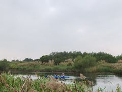 -芒洲湿地公园