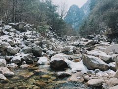 -青峰峡国家森林公园