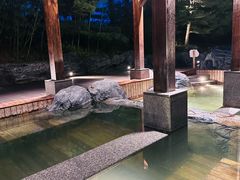 -和园景逸大酒店朗月汤泉
