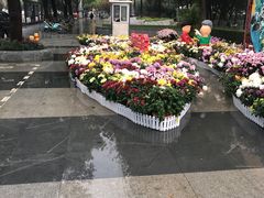 -西北湖绿化广场