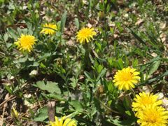 -北京小汤山医院体检中心