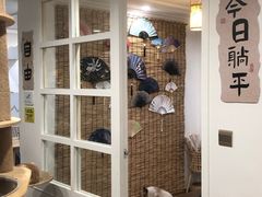 -楼上猫咖(罗湖店)