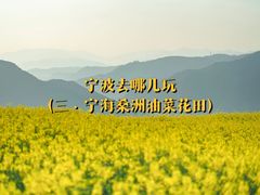 -桑洲油菜花景区