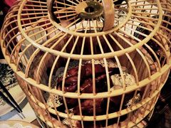 -胡桃里音乐酒馆(万科城市广场店)