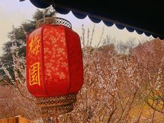 -无锡梅园公园