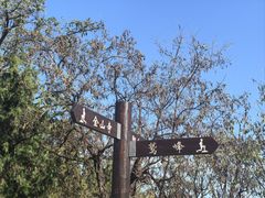 -阳台山自然风景区