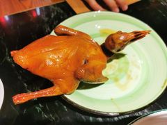 -大鸽饭(岗顶店)