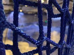 -chi K11艺术空间展览厅