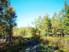 -莫尔道嘎国家森林公园