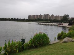 -桐乡凤凰湖
