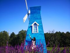 -铁山坪森林公园