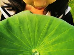 -西青郊野公园
