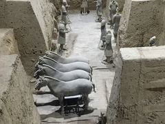 -秦始皇帝陵博物院(兵马俑)