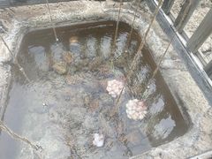 -天芳悦潭度假村温泉