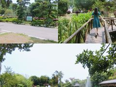 -武汉紫薇都市田园