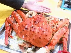 -蚝专家(北滘店)