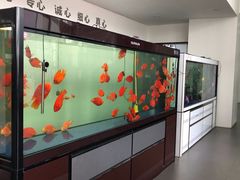 -上海华帆旗开比亚迪4S店(浦东北路店)