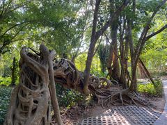 -中国科学院西双版纳热带植物园
