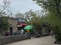 -紫金山山顶公园