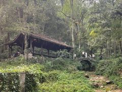 -富春桃源风景区