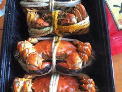 -阳澄湖大闸蟹·琼灵阁牌品牌连锁(吴中总店)