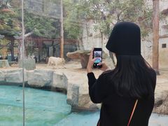 -灵玲国际马戏城