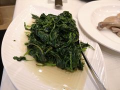 清炒菊叶-A One Kitchen·南京精菜馆(晶丽酒店店)