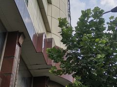 -云洲古玩城(大木桥路店)