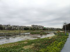-两河城市森林公园