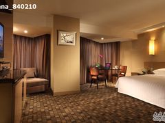 商务高级间（大床）-北京新世纪饭店(动物园地铁站店)