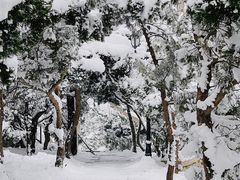 -烟台山景区