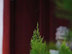 -汇龙潭