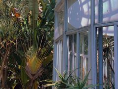 -深圳仙湖植物园