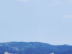-广东惠东海龟国家级自然保护区