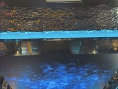 -屋有岛沉浸游戏旗舰店(中山公园店)