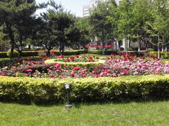 -北极寺公园