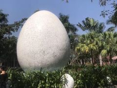 -100蛋泥浆浴