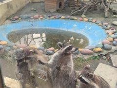 -国色天乡三期陆地乐园