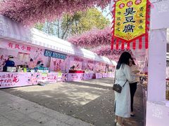 -南汇桃花村