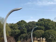 -昆山城市生态森林公园