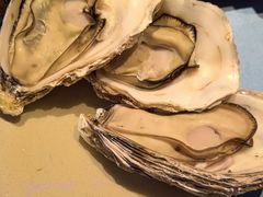 -千岛蚝高压锅生蚝·人参火锅(白云万达店)