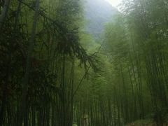 -广州市石门国家森林公园