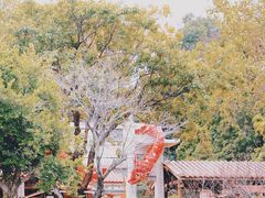 -晋江五店市传统文化旅游区