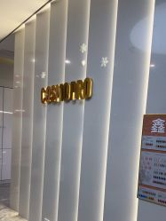 点击看大图 -COSMO PRO造型