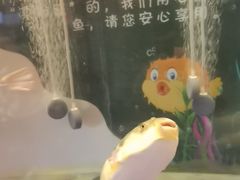 -肆月河豚·新淮扬菜·烤鸭(中关村店)