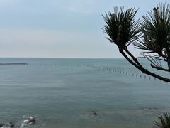 -青岛胶东国际机场