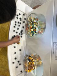 -乐高品牌旗舰店(人民广场店)