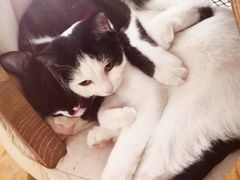 -么么咖啡(燕郊店)