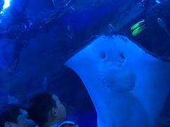 -成都浩海立方海洋公园