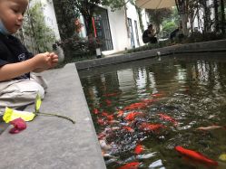 -成都艾特他整形外科医院